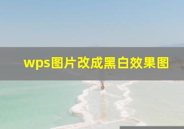 wps图片改成黑白效果图