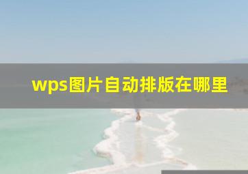 wps图片自动排版在哪里