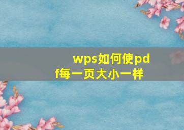 wps如何使pdf每一页大小一样