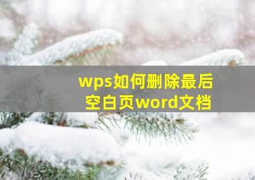 wps如何删除最后空白页word文档