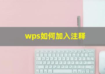 wps如何加入注释