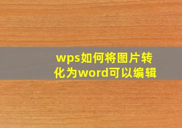 wps如何将图片转化为word可以编辑