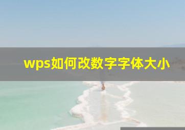 wps如何改数字字体大小