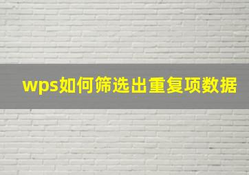 wps如何筛选出重复项数据