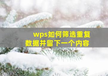 wps如何筛选重复数据并留下一个内容