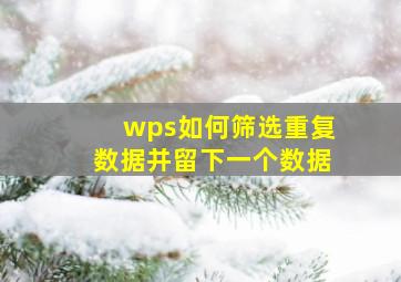 wps如何筛选重复数据并留下一个数据