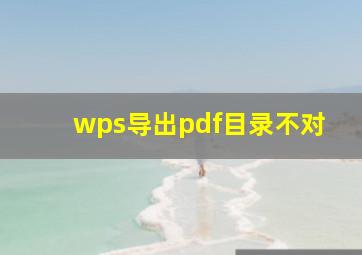 wps导出pdf目录不对