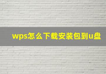 wps怎么下载安装包到u盘