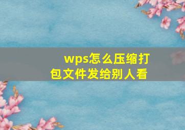 wps怎么压缩打包文件发给别人看