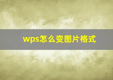 wps怎么变图片格式