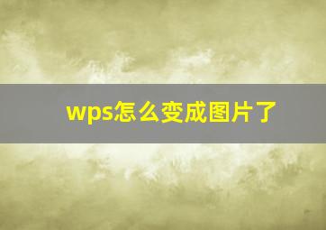 wps怎么变成图片了