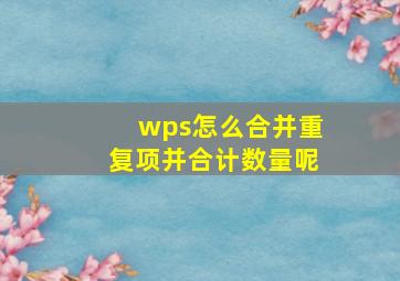 wps怎么合并重复项并合计数量呢