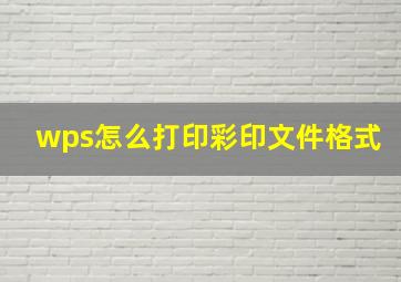 wps怎么打印彩印文件格式