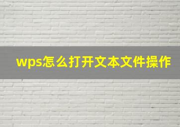 wps怎么打开文本文件操作