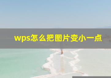 wps怎么把图片变小一点