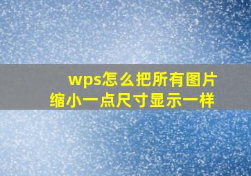 wps怎么把所有图片缩小一点尺寸显示一样