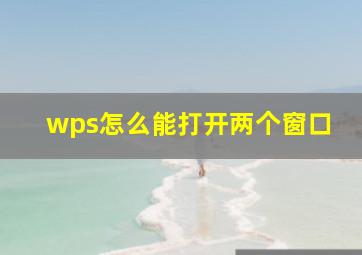 wps怎么能打开两个窗口