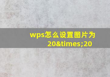 wps怎么设置图片为20×20