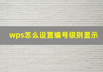 wps怎么设置编号级别显示