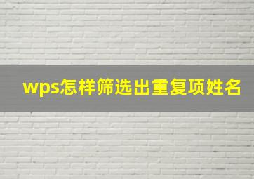 wps怎样筛选出重复项姓名