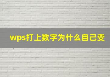 wps打上数字为什么自己变