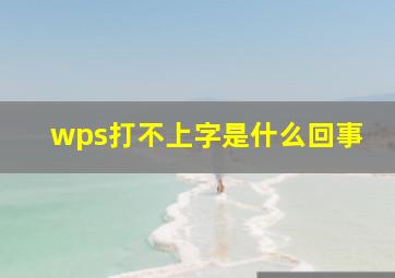 wps打不上字是什么回事