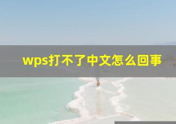 wps打不了中文怎么回事