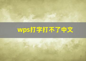 wps打字打不了中文