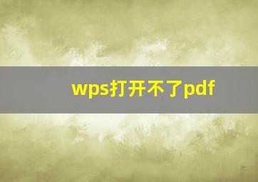 wps打开不了pdf