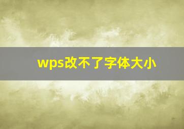 wps改不了字体大小