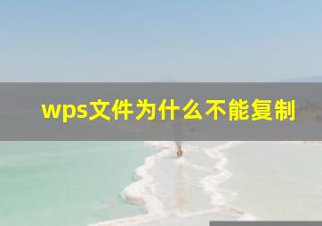 wps文件为什么不能复制