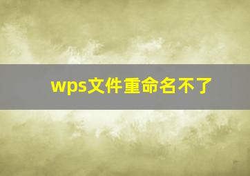 wps文件重命名不了