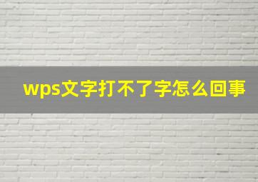 wps文字打不了字怎么回事