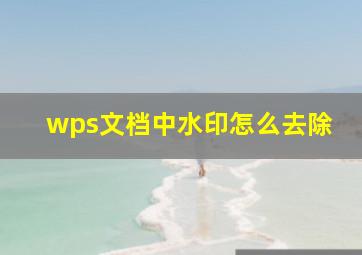 wps文档中水印怎么去除