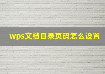 wps文档目录页码怎么设置