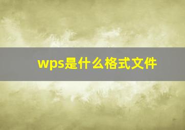 wps是什么格式文件