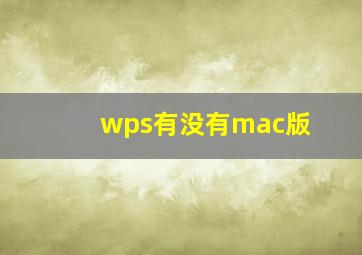 wps有没有mac版