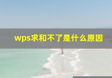 wps求和不了是什么原因