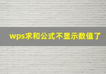 wps求和公式不显示数值了