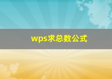 wps求总数公式