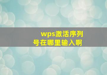 wps激活序列号在哪里输入啊