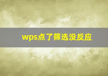 wps点了筛选没反应