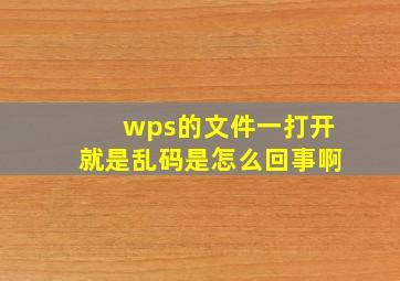 wps的文件一打开就是乱码是怎么回事啊