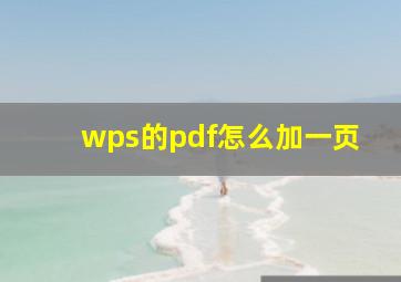 wps的pdf怎么加一页