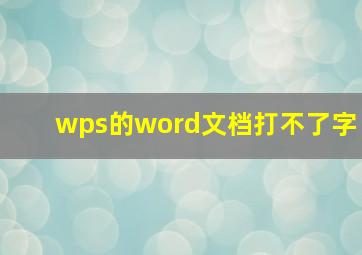 wps的word文档打不了字