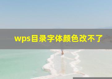 wps目录字体颜色改不了