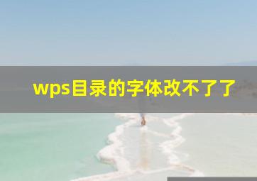 wps目录的字体改不了了