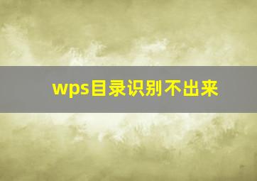 wps目录识别不出来