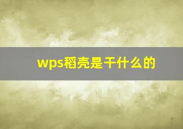 wps稻壳是干什么的