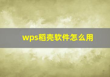 wps稻壳软件怎么用